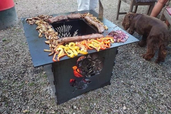 FireBox with Cooking Plate